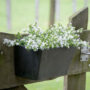 Ella Wall Planter 14.5″ – Artstone Black